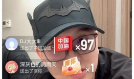 小杨嫂和小杨哥爆料视频,家庭琐事引发热议